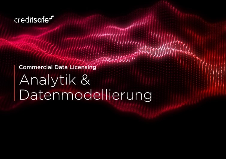 Marktanalyse und Datenmodellierung mit Massendaten von Creditsafe